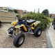 QUAD YAMAHA BLASTER 200 OCCASIONE