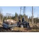 RIMORCHIO PER QUAD TRAILER IB-165