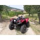 QUAD YAMAHA GRIZZLY 700 EPS OCCASIONE