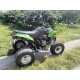 QUAD 250 ARCTIC CAT DVX 250