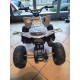 MINI QUAD LEM KONDOR BABY 110 RUOTA 6