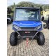 UTV AODES ODES 650 WORKCROSS COMPLETO DI CABINA TARGA GIALLA