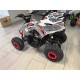 MINI QUAD LEM KONDOR BABY 110 RUOTA 6