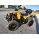 QUAD CAN AM BRP RENEGADE 500 OCCASIONE