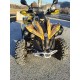 QUAD CAN AM BRP RENEGADE 500 OCCASIONE