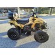 QUAD CAN AM BRP RENEGADE 500 OCCASIONE