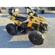 QUAD CAN AM BRP RENEGADE 500 OCCASIONE