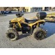 QUAD CAN AM BRP RENEGADE 500 OCCASIONE