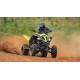 QUAD YAMAHA RAPTOR 700 SE 2021 OMOLOGAZIONE EURO 4